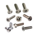 All Kinds Of High Quality Security Screw,Security Screw Factory
